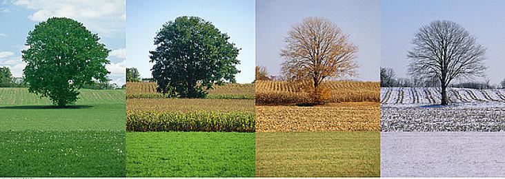 《艾尔登法环》拥有六个主要区域 可自定义内容更丰富多样